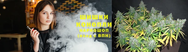 мдпв Горняк
