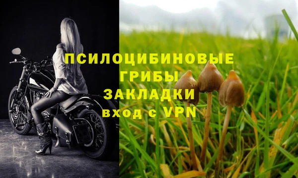 jwh Верея
