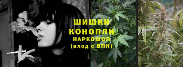 молекула духа Горно-Алтайск