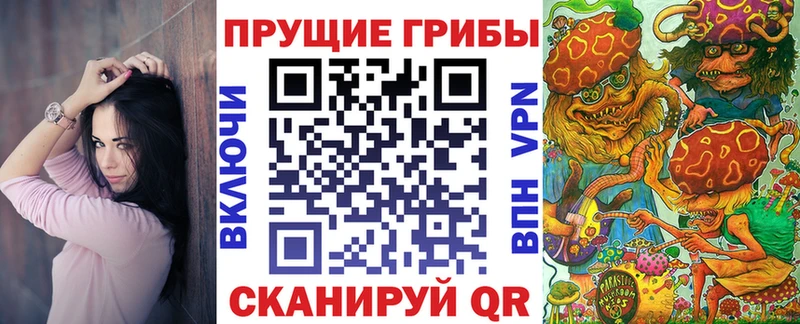 Галлюциногенные грибы Cubensis  дарнет шоп  Закаменск 